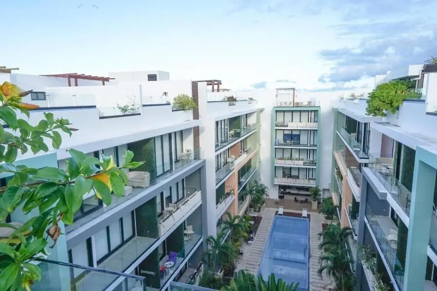 My Menesse City - Mexico Libre Playa del Carmen